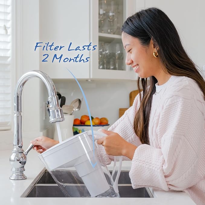 Santevia Mina Flouride Filter, 1 EA