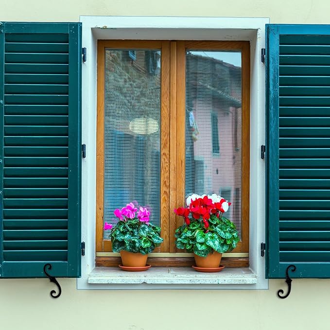 MorningRo 2 Pack Black S Style Shutter Dogs 6.5 Inches Shutter Dog Holders with Mounting Hardware External Shutters Tieback for Exterior Decorative (Pattern)