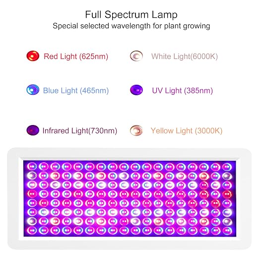 UV Light Box for DIY Icing Box Make Yellow/Oxidized Soles Icing White Again or Making 3D Printer Curing Enclosure Big Curing Station 2000W Light Affect