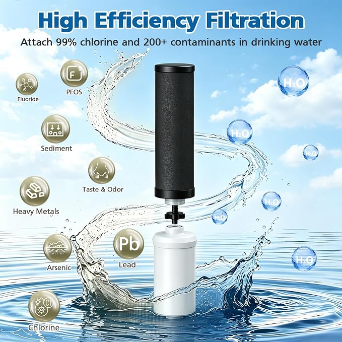 Water Filter Replacement Compatible with Ber-key ® B B 9-2 Gravity Water Filter System, Coconut Shell Activated Carbon for 250+ Contaminants, 4 Black Carbon Filters + 2 White Fluoride Filters