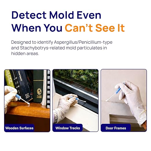 Healthful Home 5-Minute Mold Test Kit - Easy At-Home Mold Detection for Aspergillus/Penicillium & Stachybotrys, DIY Testing for Indoor Air & Moist Areas, No Lab Required, Includes Expert Consultation
