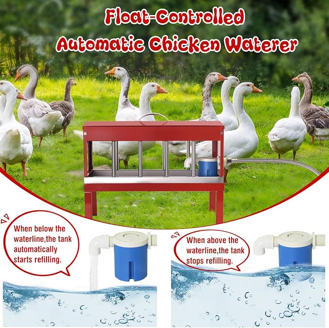 Automatic Chicken Waterer Stainless Steel with Hose Large Poultry Dispenser | Float Valve&Detachable Legs,Fits 3/4" GHT, No Mess 10 Drinking Holes, Rust-Proof, For Chickens, Ducks,Geese & Turkeys