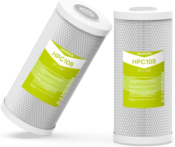 0.2 Micron 10" x 4.5" RV Water Filter Cartridge | Pleated Polyester & Activated Carbon Block Composite Filter, Reduces Sediment, Chlorine, Taste & Odor, Pack of 2