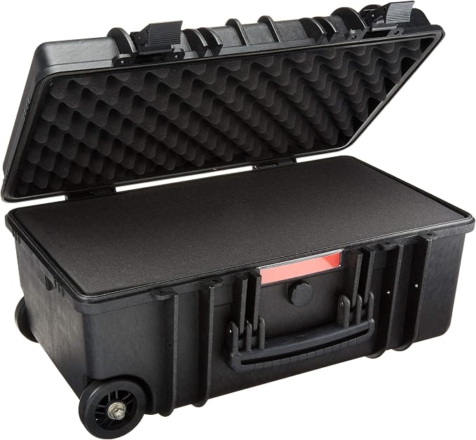Amazon Basics Hard Protective Camera Case with Wheels, Large, Black, 22"L x 14"W x 9.8"H