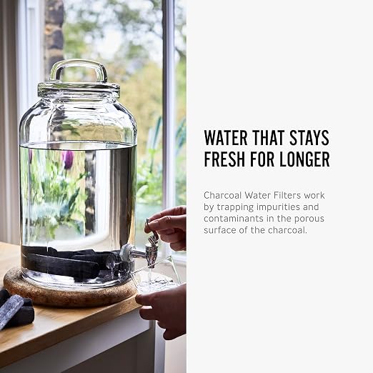 BLACK + BLUM Charcoal Water Filter Sticks | Charcoal Filter Hydration Old Japanese Tradition, Lasting 6 Months Each, Wood Black (4 Piece)
