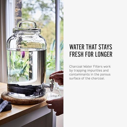 Black + Blum Charcoal Water Filter Sticks | Charcoal Filter Hydration Old Japanese Tradition, Lasting 6 Months Each, Wood Black (1 Piece)