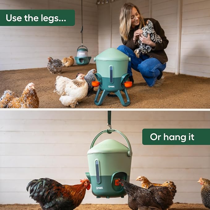 Omlet Insulated Chicken Waterer, 1.5 Gallon | Stay-Clean Automatic Water Dispenser for Chickens | BPA-Free | Anti-Roost Domed Lid | Includes 3 Cups & Nipples | Sage Green