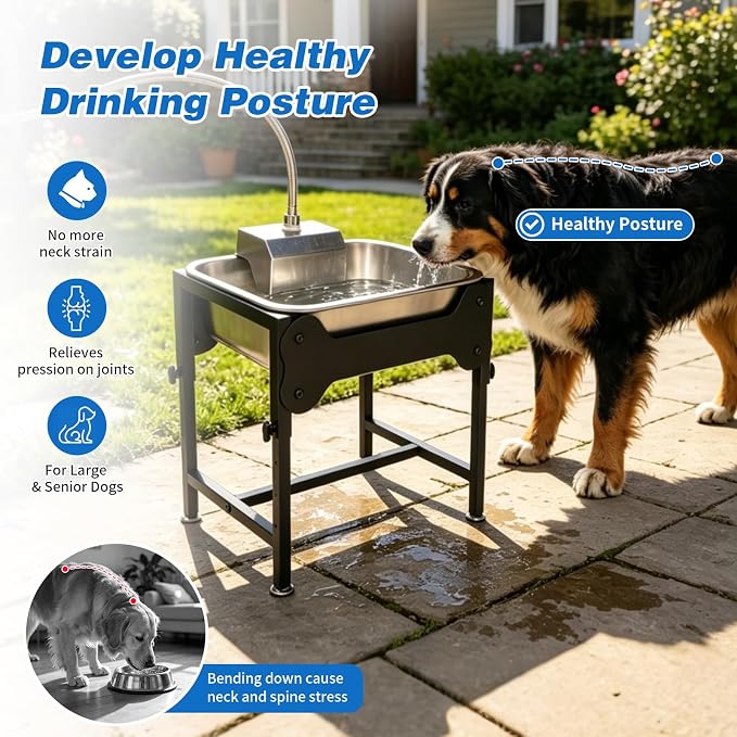 3 Gallons Elevated Automatic Water Dispenser for Dogs,4 Height Adjustable Outside Dog Water Bowl,Stainless Steel Dog Self Watering Bowl Livestock