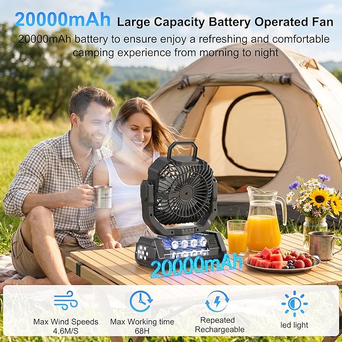 Portable Rechargeable Fan 20000mAh, Battery Powered Camping Fan with LED Light& Remote,4 Speeds Wind,USB,Cordless,Oscillating,Timer for Travel Tent,Rv Camping Essentials (Black)