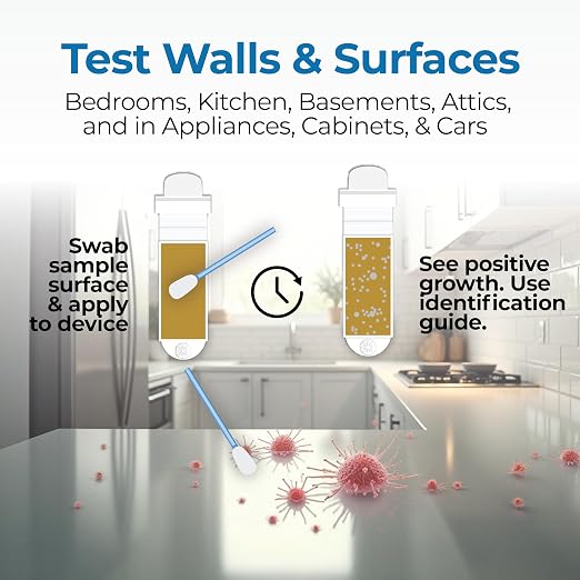 #1 Indoor Air Quality Test Kit by Detekt - (12) Screening Tests 6 Mold Tests + 6 Bacteria Tests - Test HVAC & Surfaces - DIY Mold Testing - Species Identification Guide & Consultation - Made in USA