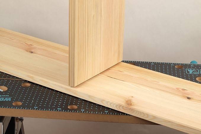 wolfcraft Dowelmaster 4640000 (Practical jig for Clean Corners, T-Butt Edge Connections, and The Accurate Alignment of Dowel Holes)