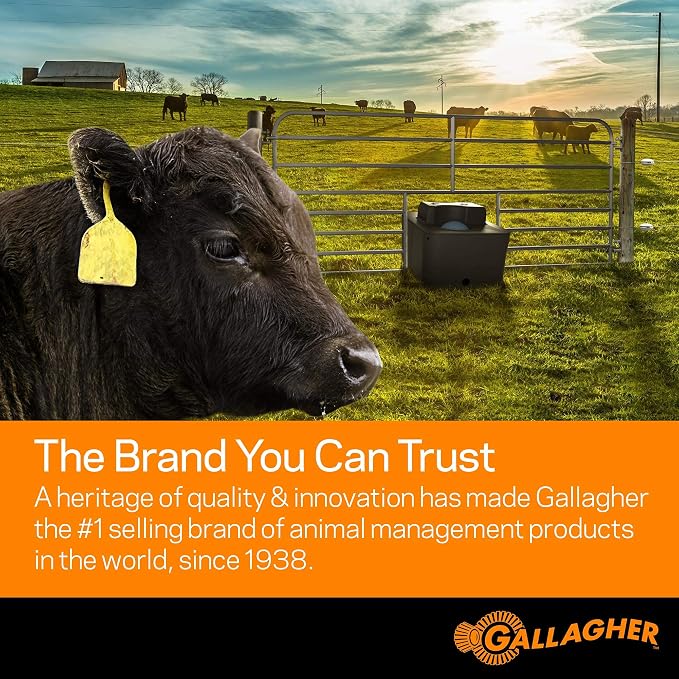 Gallagher S6 Solar Electric Fence Charger | Solar Fence Energizer for Gardens, Chickens, Goats, and Pets | Solar-Powered Fence Charger with Lithium Battery | Mounts Directly to Grounding Rod