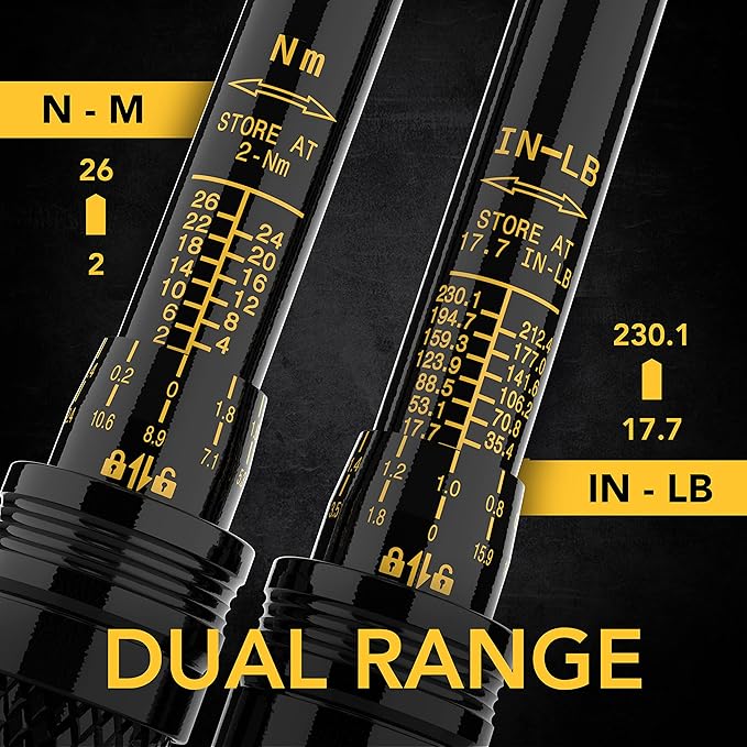 LEXIVON Bike Torque Wrench 1/4-Inch Dr. 15-Piece Kit | 72-Tooth Gear, Dual-Direction Click Type 2~26 Nm / 17.7~230.1 in-lb (LX-191)